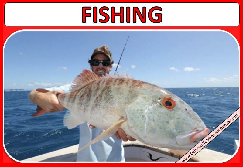 Marmaris Fishing Trip Marmaris Fishing Trip